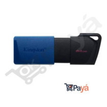 Memoria Kingston Dtxm Dtxm/64 Gb Dtx Exodia M  Retractil